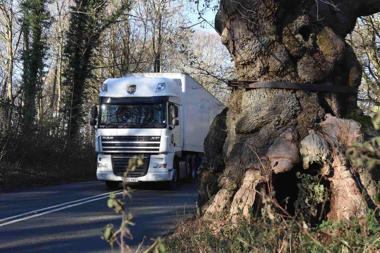 Tree Hazard Assessment SJ Stephens Associates