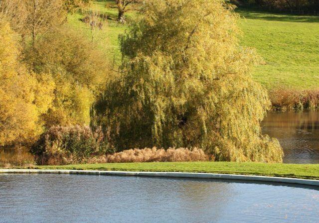 Chartwell