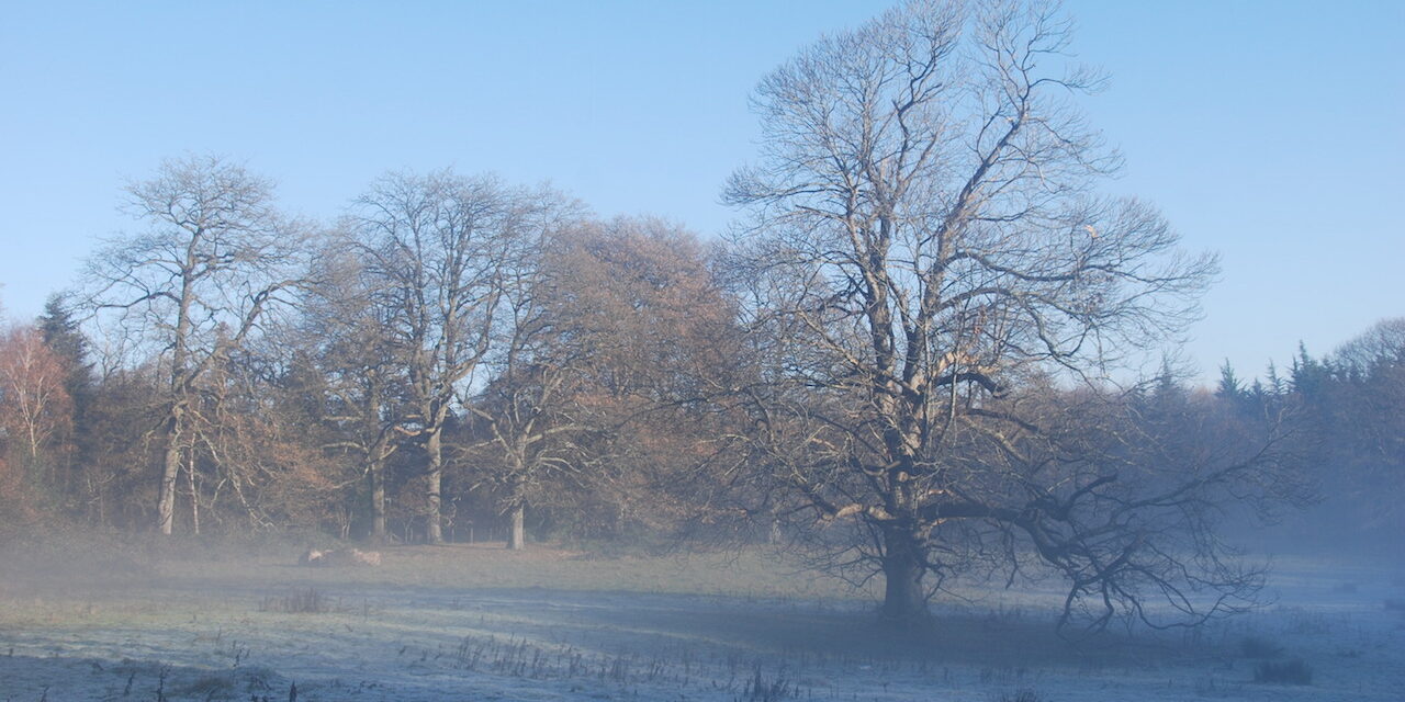 DSC_0029_1 DSC_0029_1