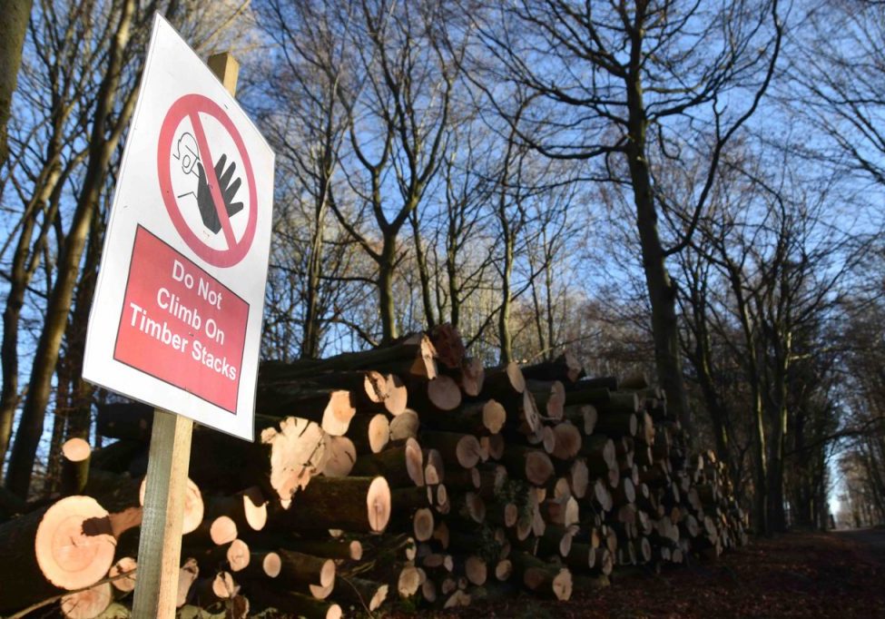 Stack of logs with warning sign saying 'do not climb on timber stack'.