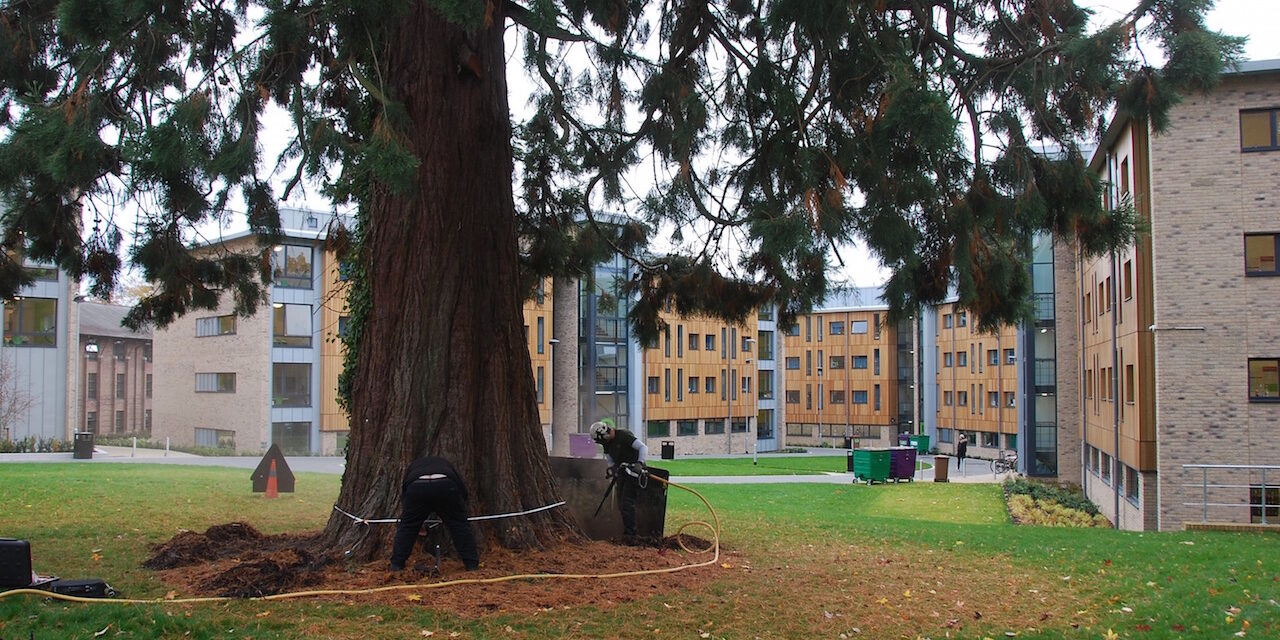 DSC_0377 Southampton University