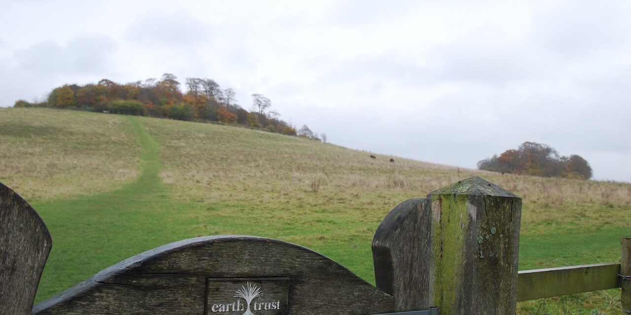 DSC_0402 The Earth Trust