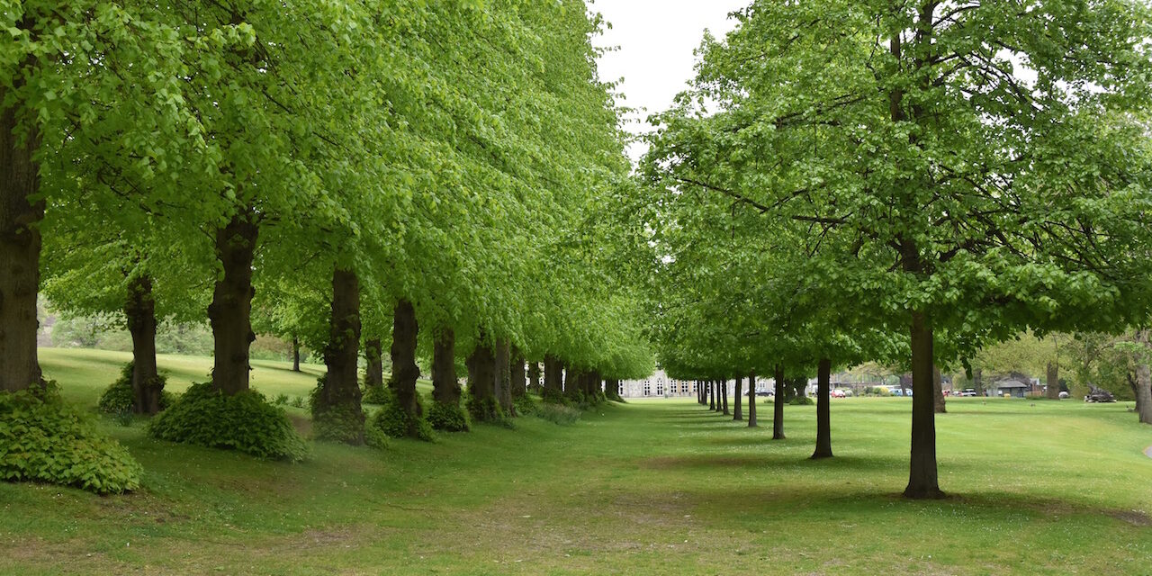 DSC_1192 Wycombe Abbey DSC_1192 Wycombe Abbey