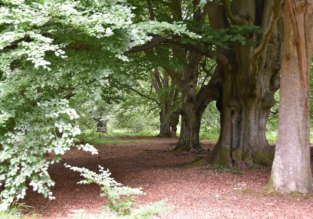 DSC_1270 DSC_1270