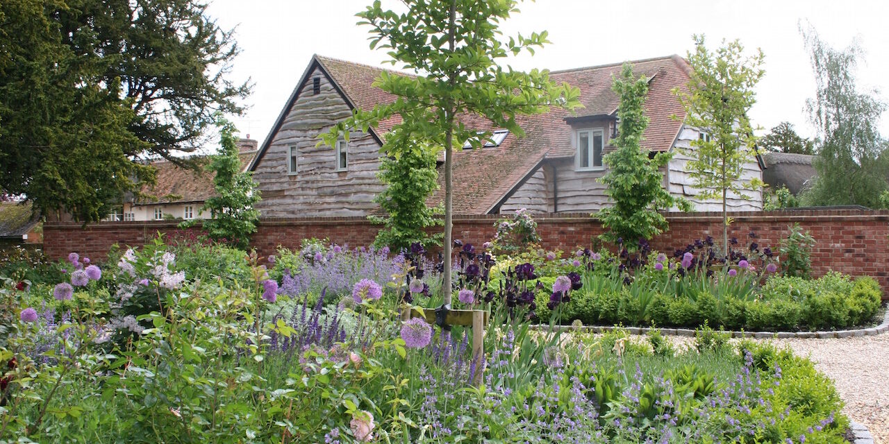 IMG_9979 copy IMG_9979 copy